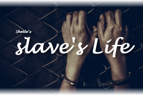 My slave's Life | Shelle Rivers