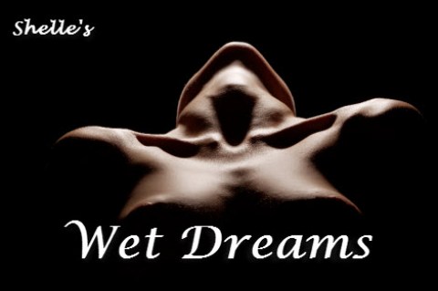 Wet Dreams | Shelle Rivers